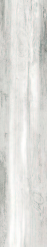 Nautilus Blanco