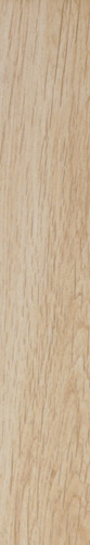 Oregon Nogal Rect. 20x120см