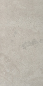 Portlandstone Gris Mat 60x120см