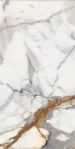 Nover White Polished 60x120см