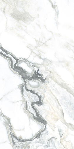 Oyster Blanco POL 60x120см