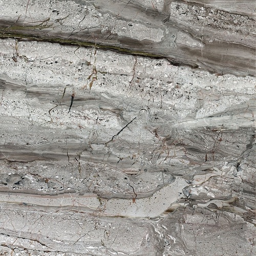 Daino Grey